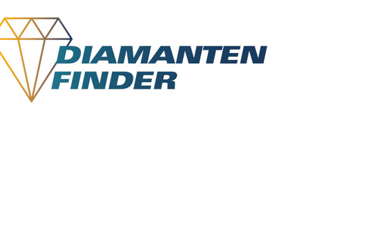Logo des Projekts Diamantenfinder